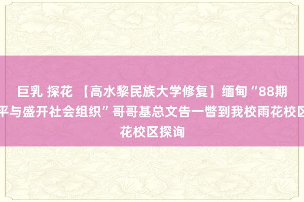 巨乳 探花 【高水黎民族大学修复】缅甸“88期间和平与盛开社会组织”哥哥基总文告一瞥到我校雨花校区探询